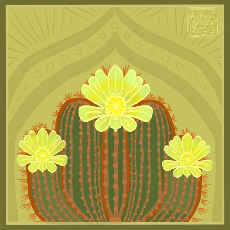 An symmetrical, intensely brightly blooming hedgehog cactus with lime green and yellow flowers over reddish brown spikes. A very art noveau design background in olive green frames the cactus.