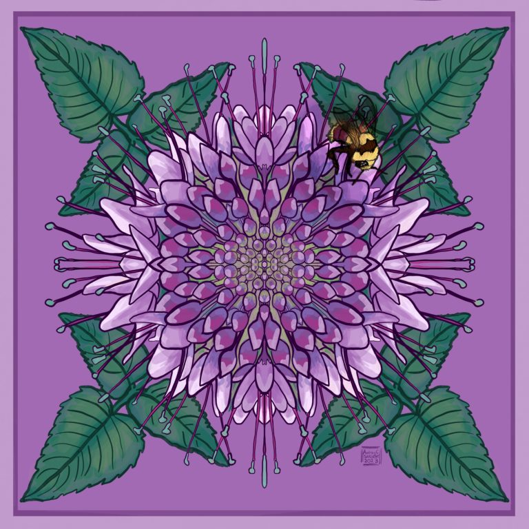 Fractally drawn bee balm with a bee in the top right.