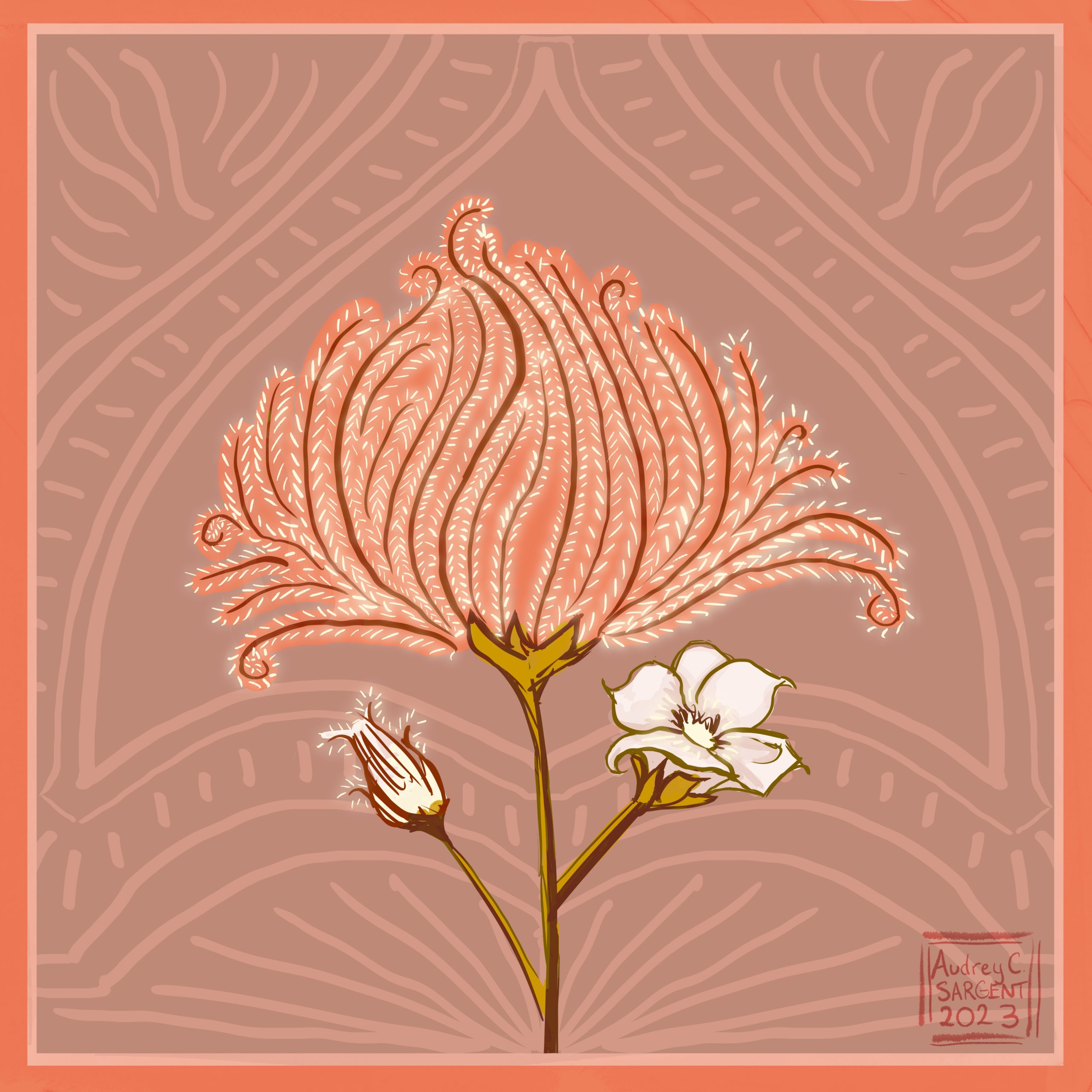 An art noveau stylization of an Apache plume bud, flower, and seedhead. Behind it is a complimentary decoration in arcs and lines.