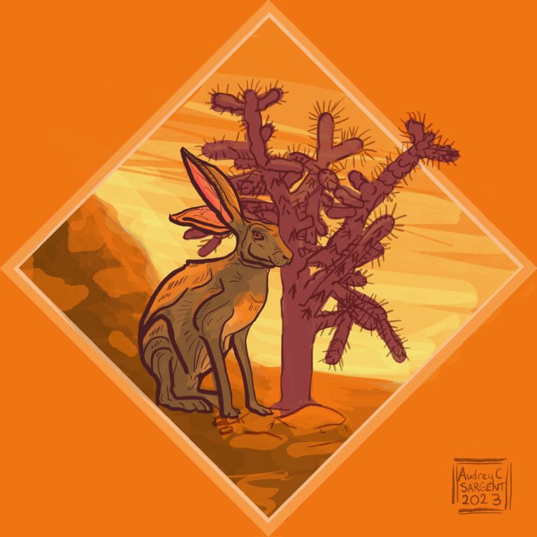 A jackrabbit sits next to a cholla walking stick cactus with one ear cocked. A rocky backdrop catches an intense yellow and orange sunset. All is framed by an orange diamond on an orange background.