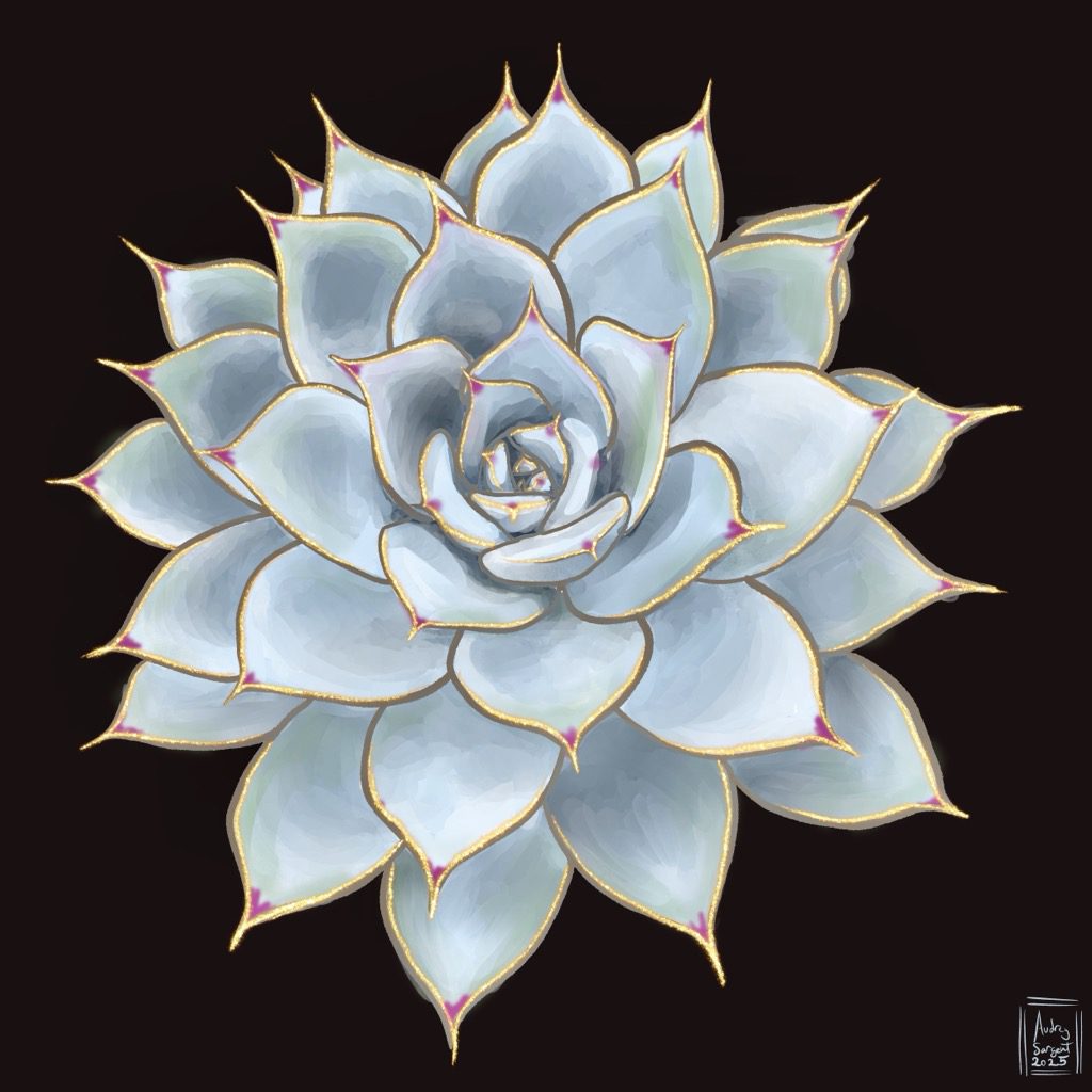 A digital painting of an echevaria with sharply pointed reddish hued tips on every teardrop shaped leaf. This echevaria has quite a few leaves in the rosette. The main color is a pale gray blue with slight hints of green here and there. The leaves and spikes are edged in gold leaf.